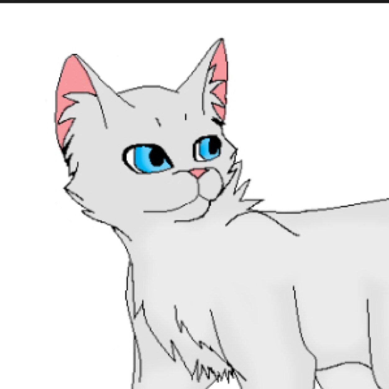 A lighe silver she cat with bright blue eyes {clan none} {mate none} always happy sometimes and caring