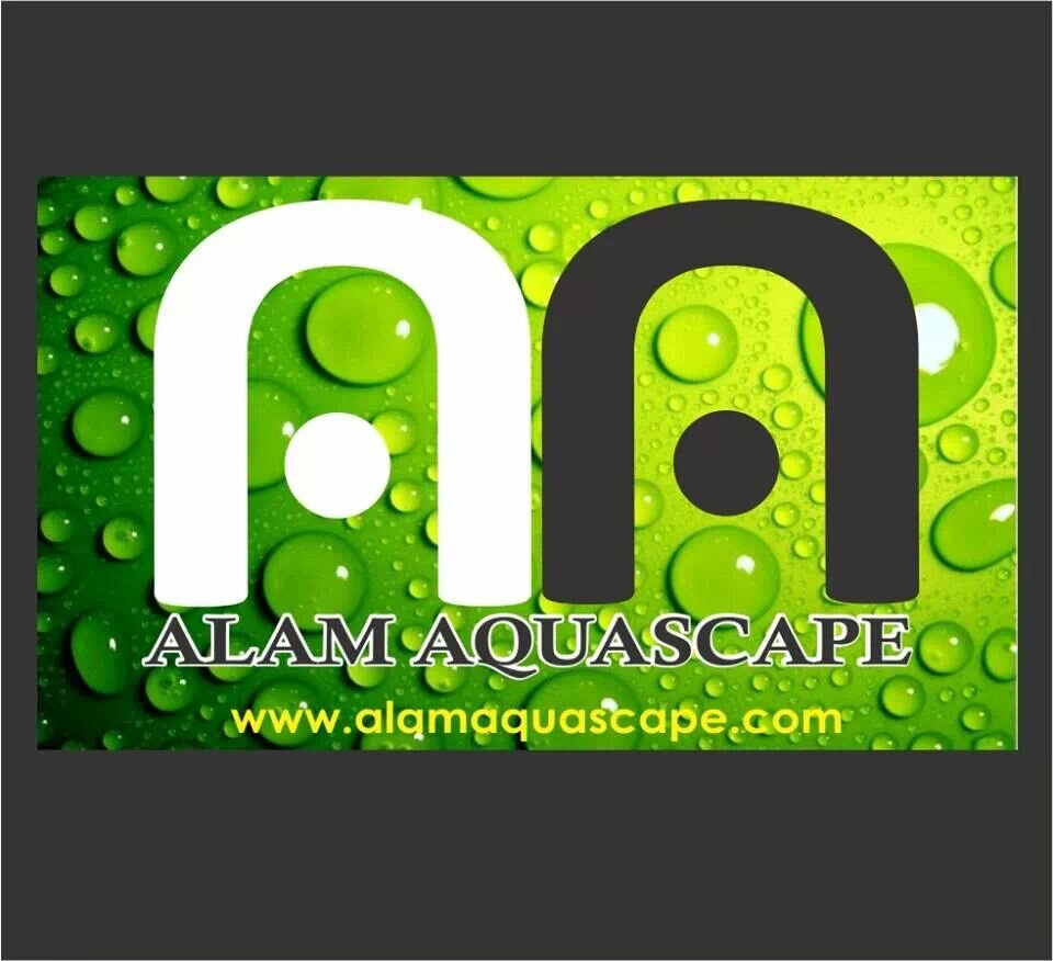 Aquascape Tools & Design