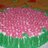 LoriEli77's profile image