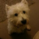 Claire McCall - @Clairetapley - Twitter