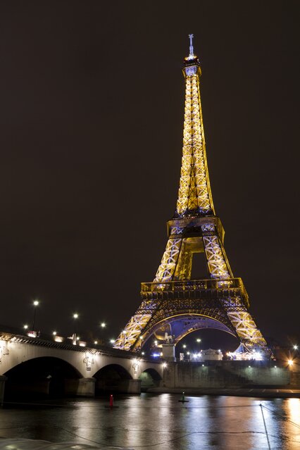 ibikilaser's profile picture. いびきの解決が唯一の楽しみです。。