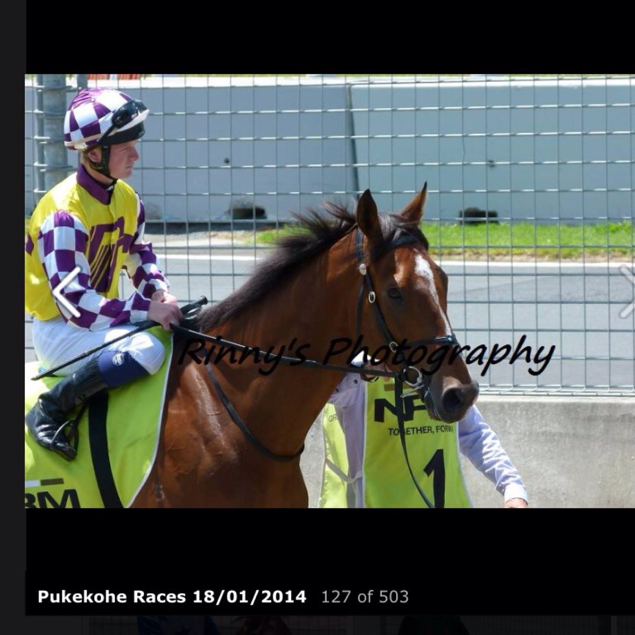 U.K. Apprentice jockey now living in New Zealand former Apprentice to Peter Chapple Hyam.....Current Apprentice jockey for NZ Trainer Tony Pike @pikeracing