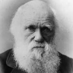 charlesdarwin57's profile picture. Naturalist, Geologist, theorist, and i like to discover thing. I have a book, check it out! On the Origin of Species