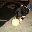 Suzanne Reeve - @patsygrey - Twitter