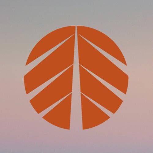 steeple_pine Profile Picture