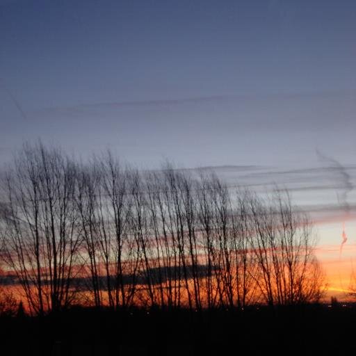 KathleenDeRycke's profile picture. Consultant / Coach / Trainer at Amelior