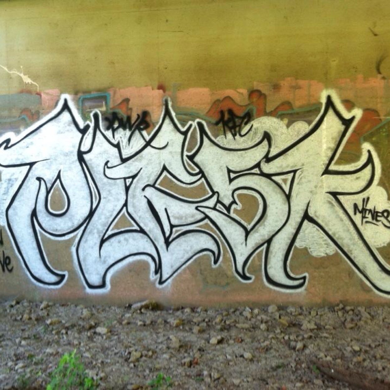 pleskone's profile picture. 