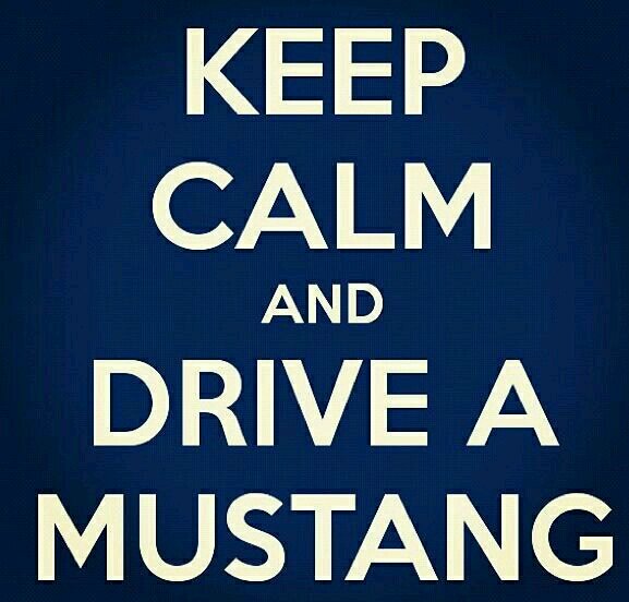if you love mustangs follow @2die4mustangs
