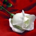 Deysi Liliana (@13Liliana9) Twitter