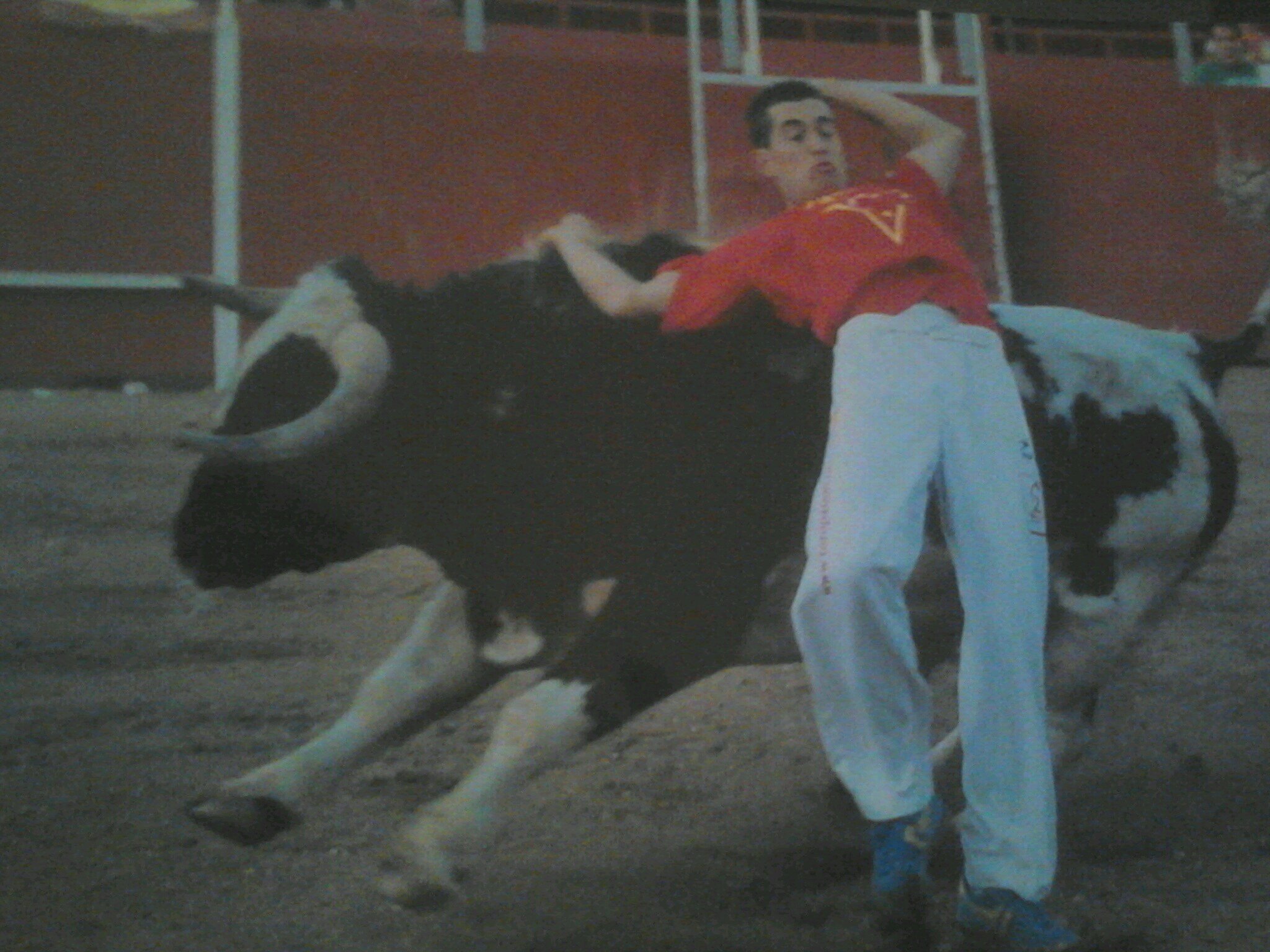 jorgechinin Profile Picture