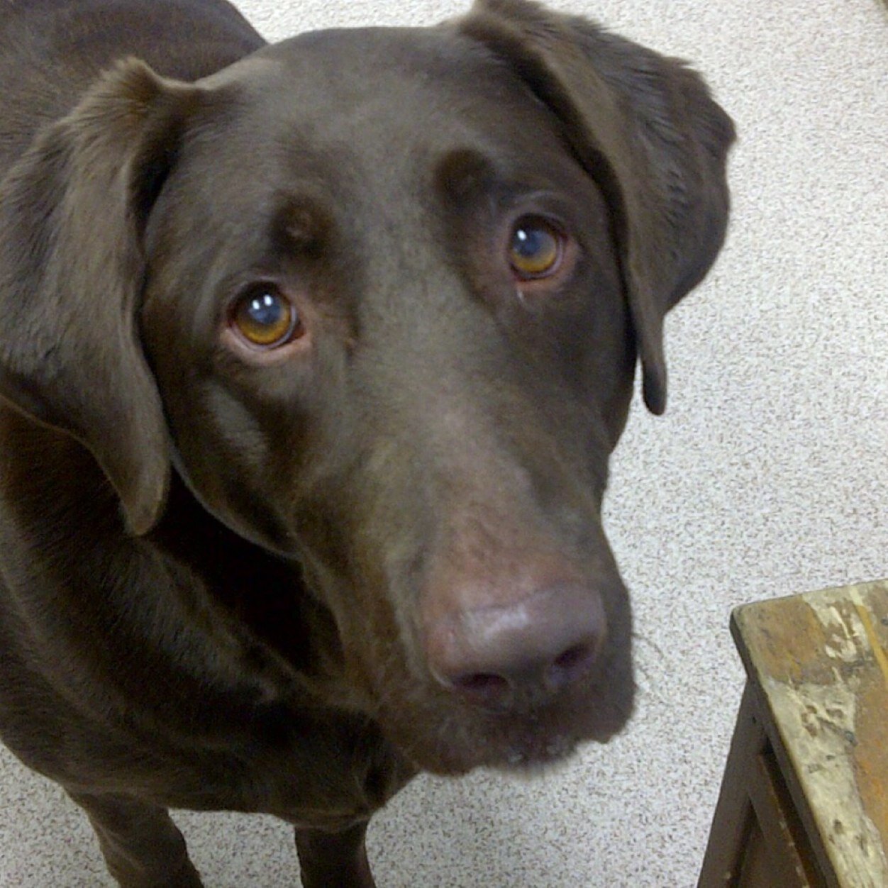 CherylM15's profile picture. 