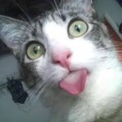 CimooottUnyuu's profile picture. Love Family Forever.......muachhh
''Aku+Kamu=Cinta''