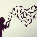 Nimo adan - @adan_nimo - Twitter