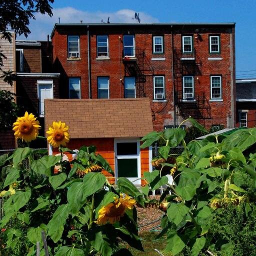 The Chelsea Community Garden is a member-driven organization of urban gardeners. We thrive to grow healthy food and connect with the community.