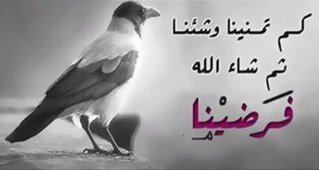 أملي بالله كبييير 
#طرابلس ياعشقي ❤