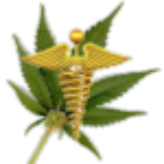 rockyd20's profile picture. 