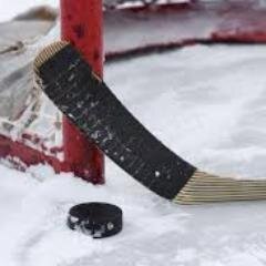 OneGoal is a three day summer hockey festival based in Southern Alberta. The quest is to raise $50'000 toward cancer research.