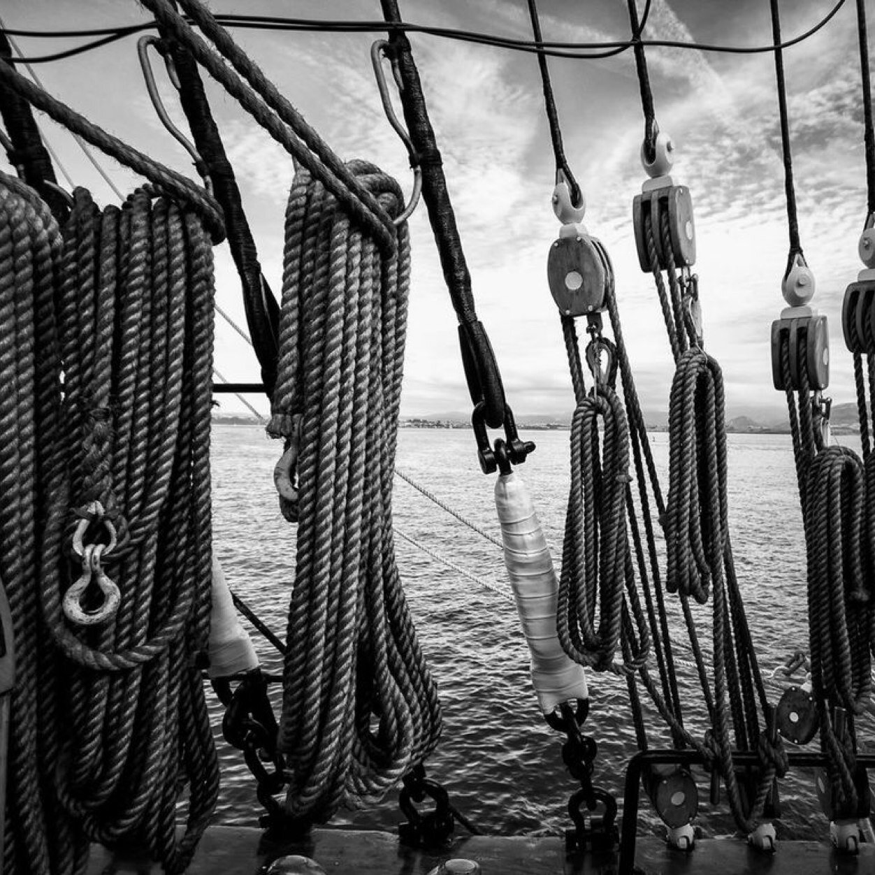 devayamia's profile picture. 