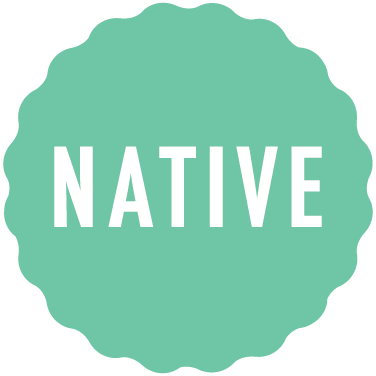 nativedigital's profile picture. We help brands and agencies with their digital campaigns. We build social apps, mobile apps and beautifully designed, mobile responsive sites.