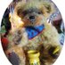 Sandi ๐จ๐ฆ (@moonpiecat) Twitter profile photo Sandi ๐จ๐ฆ (@moonpiecat) Twitter profile photo