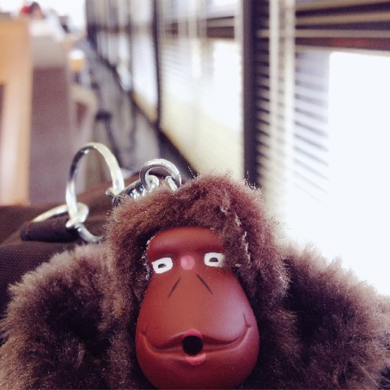 Marisa_Leng's profile picture. Sunshine will everywhere