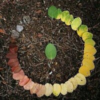 Keşşaf (@subhukiyamet) 's Twitter Profile