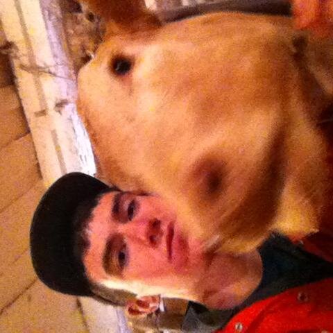 iamabeefcow's profile picture. 