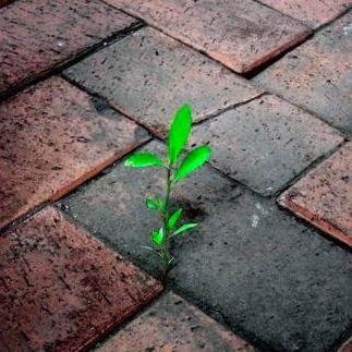 kandidtwits's profile picture. 