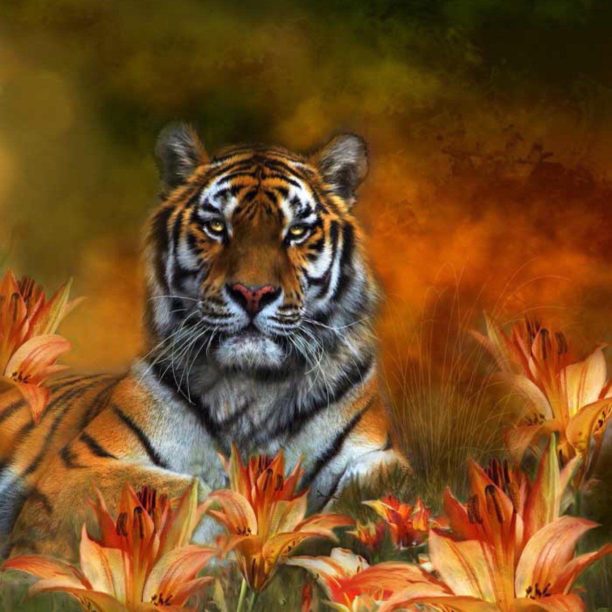 In the beginner's mind there are many possibilities, but in the expert's there are few................