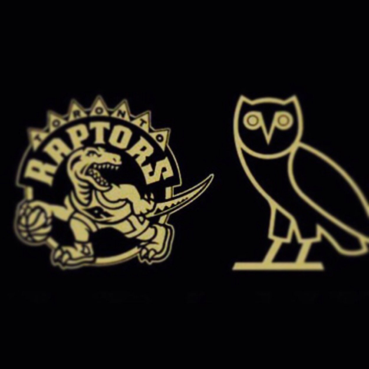 YGshane1's profile picture. 