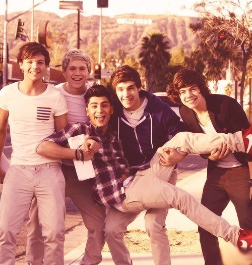 One Direction Fans