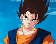I'm neither Goku or Vegeta. I am Vegito 'The Immensely Combined Powerful Saiyan. #DBZRP      [MVRP/Non-Canon/Roleplay]