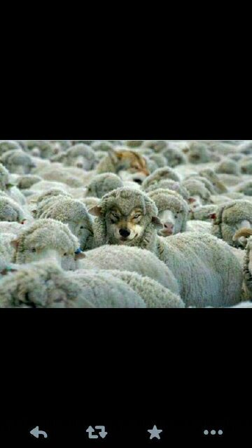 TWIMCONCERN999's profile picture. 