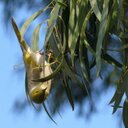 jackie kerr - @jekerr26 - Twitter