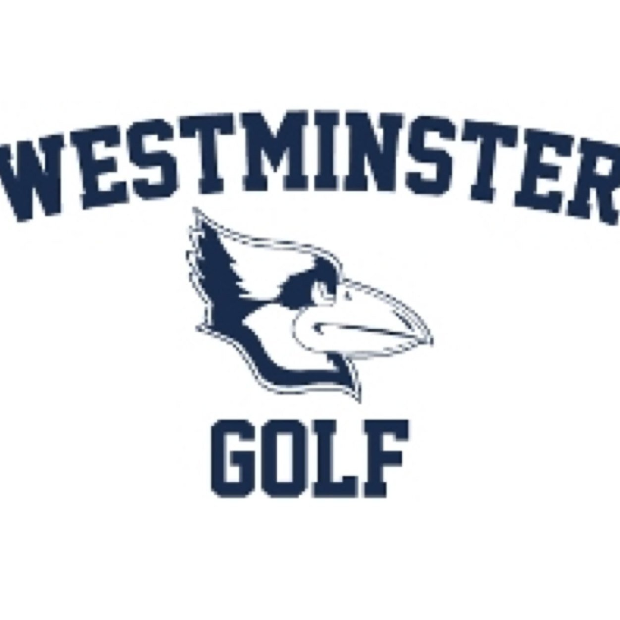 Official Twitter page of the Westminster College Golf Team. #BlueJayNation