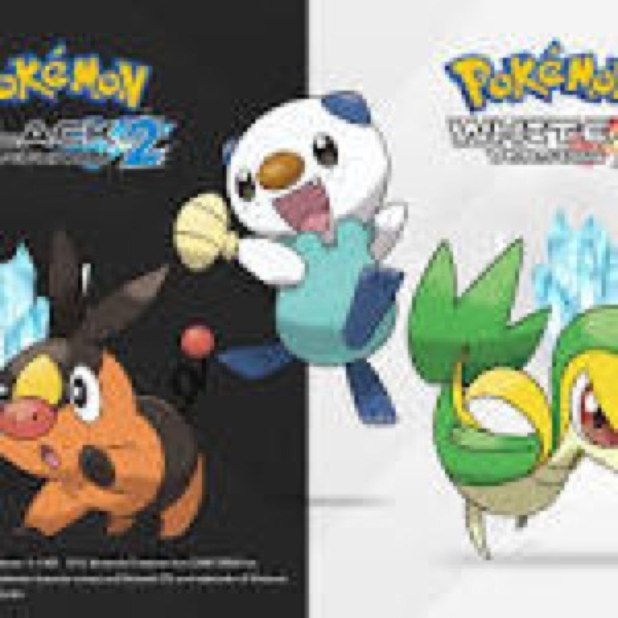 brandonyanez2's profile picture. 