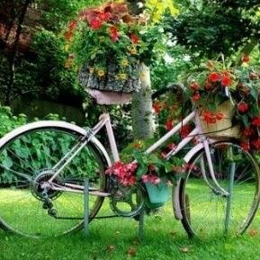 reading4life__'s profile picture. Enjoy reading for life