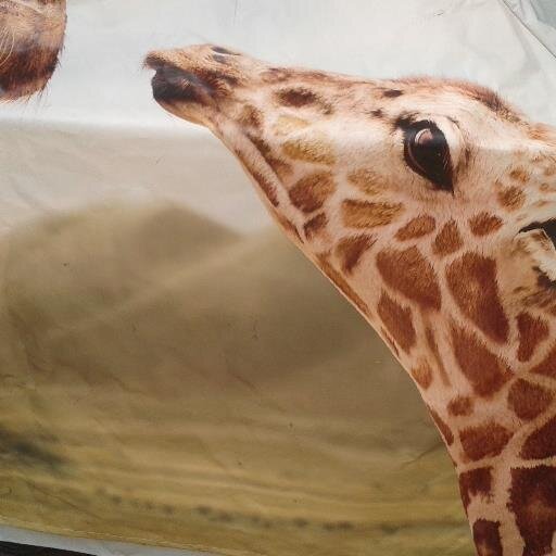 bbqskins's profile picture. made for NZ's climate these individual, beautiful bbq covers are proudly made from used billboards & up-cycled right here in