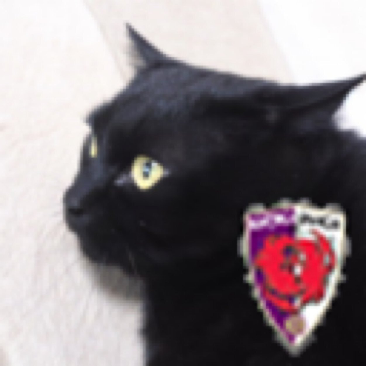 uminoao's profile picture. のんびり暮らしています。推しは生きてるだけでファンサ。