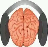 yosubliminal's profile picture. Observador urbano sin ataduras