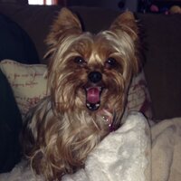 babsbluebug (@babsbluebug) 's Twitter Profile