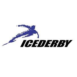 Integrated Professional Ice Skate Racing