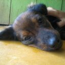 mario paramo  - @Mariopar33Mario - Twitter