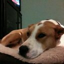 Lola Bell - @LolaBell17 - Twitter