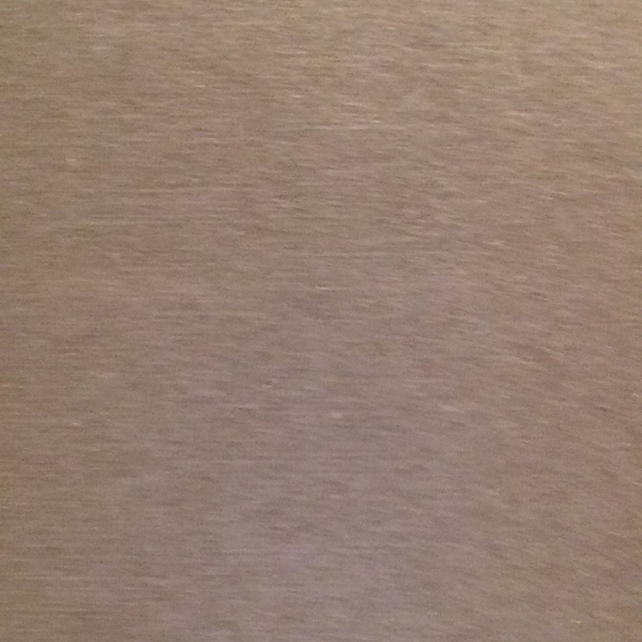 ropagnani's profile picture. 