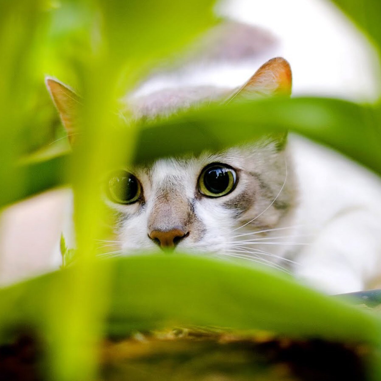 connyhouse's profile picture. 