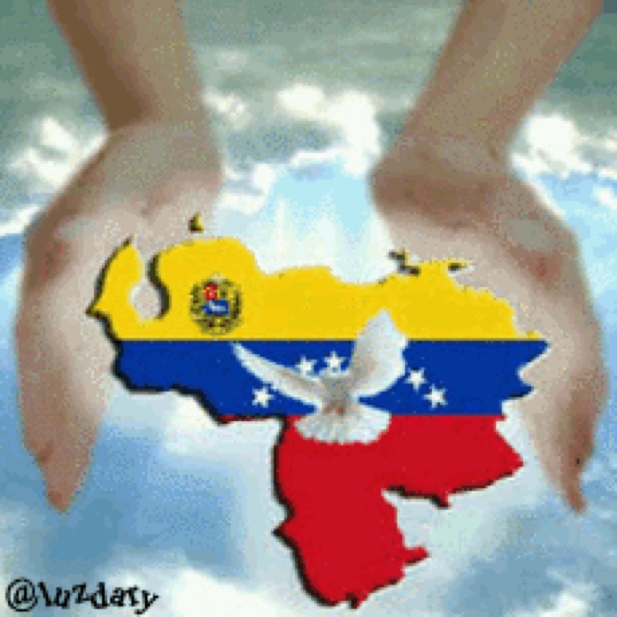 maribelvaslop's profile picture. 