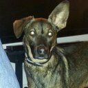 Allan Mason - @AllanHAMason - Twitter