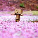 Mia Webster - @_defy_gravity - Twitter