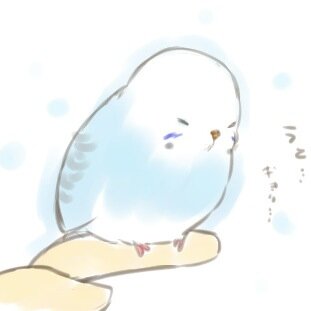 ドクターぴよまる